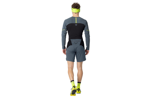 Spodenki Dynafit Alpine Pro 2-in-1 Shorts szare męskie 