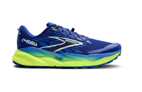 Buty Brooks Cascadia 19 niebieskie męskie AW25