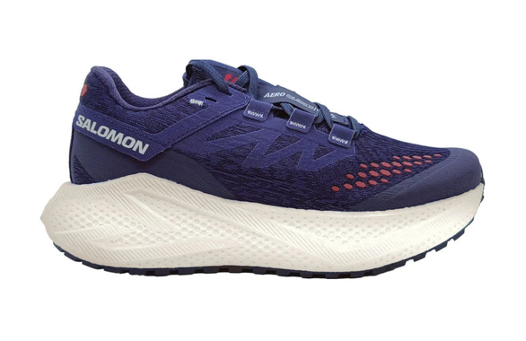 Buty Salomon Aero Glide 3 GRVL fioletowe męskie AW25