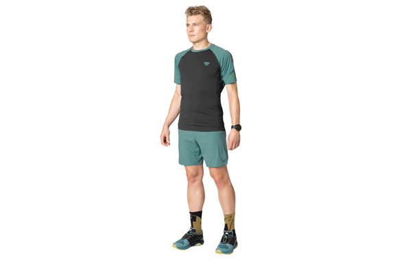 Spodenki Dynafit Alpine Pro 2-in-1 Shorts zielone męskie 