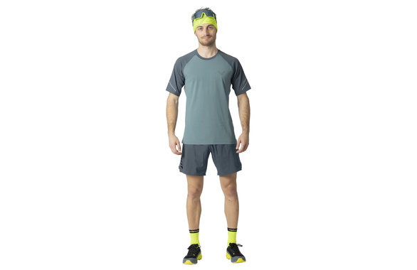 Koszulka Dynafit Alpine Pro S/S Tee szara męska 