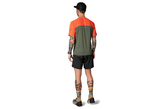 Koszulka Dynafit Alpine Pro S/S Tee zielono-czerwona męska 