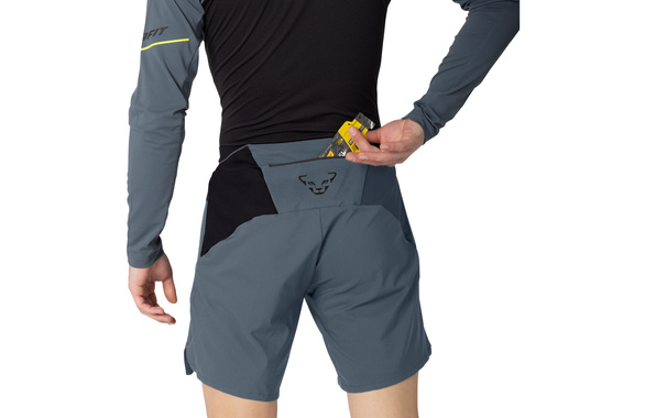 Spodenki Dynafit Alpine Pro 2-in-1 Shorts szare męskie 