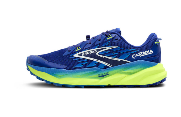Buty Brooks Cascadia 19 niebieskie męskie AW25