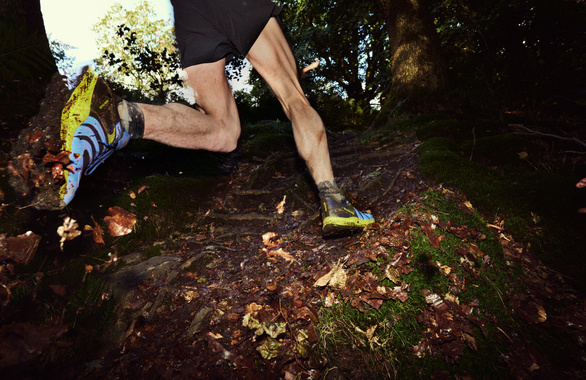 Buty Inov-8 Trailtalon niebiesko-zielone męskie AW24