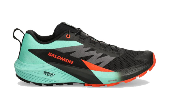 Buty Salomon Sense Ride 5 czarno-zielone męskie AW24